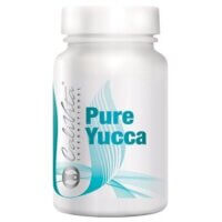 Pure Yucca