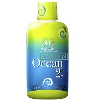 Ocean 21 ocean21